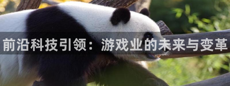 多彩娱乐登陆：前沿科技引领：游戏业的未来与变革