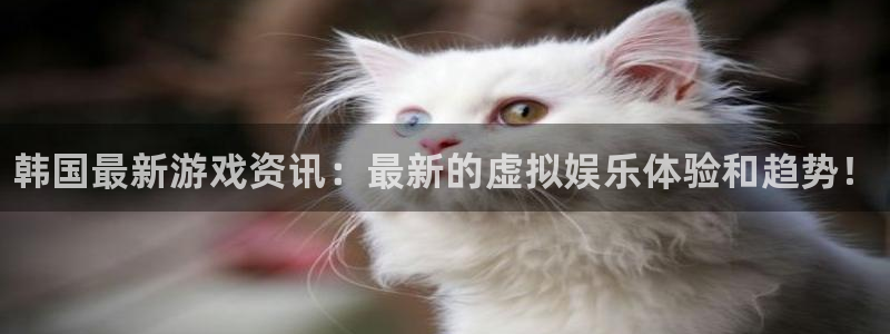 多彩娱乐4招商：韩国最新游戏资讯：最新的虚拟娱乐体验和趋势！