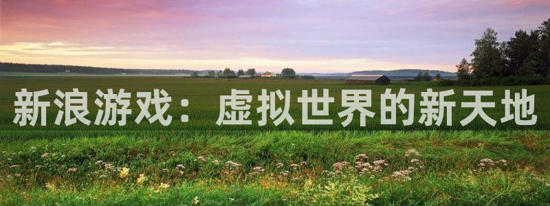 多彩娱乐网址注册：新浪游戏：虚拟世界的新天地