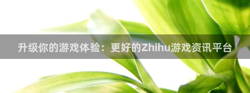 多彩娱乐官方登录网址：升级你的游戏体验：更好的Zhihu游戏