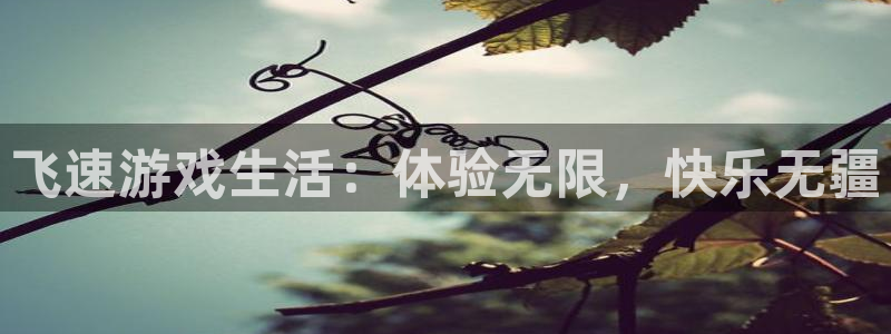 多彩娱乐网址注册：飞速游戏生活：体验无限，快乐无疆