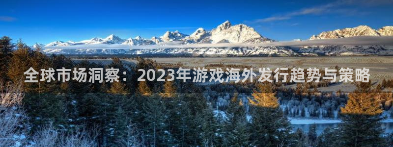 多彩娱乐网址官网：全球市场洞察：2023年游戏海外发行趋势与
