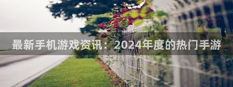 多彩娱乐平台注册资金多少：最新手机游戏资讯：2024年度的热