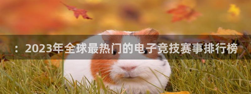多彩娱乐登陆：：2023年全球最热门的电子竞技赛事排行榜