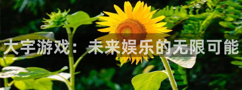 多彩娱乐网址官网：大宇游戏：未来娱乐的无限可能