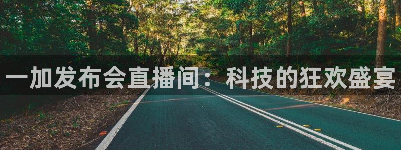 绿茵足球直播免费观看：一加发布会直播间：科技的狂欢盛宴