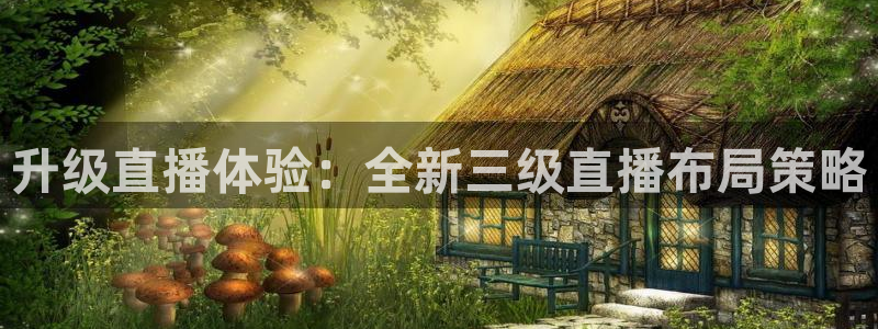 绿茵足球免费直播：升级直播体验：全新三级直播布局策略